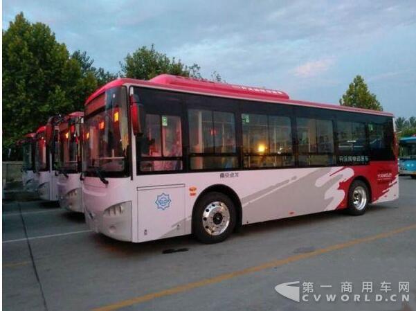 新能源公交车.jpg